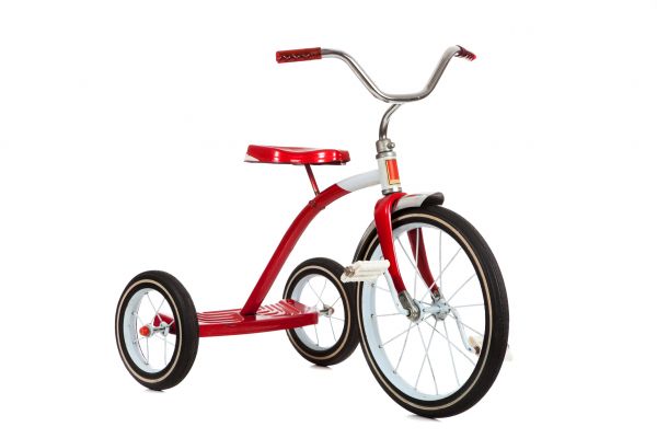 Tricycle Assembly in Edmonds