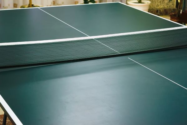 Ping Pong Table Assembly in Edmonds